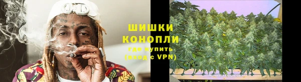 дживик Белокуриха