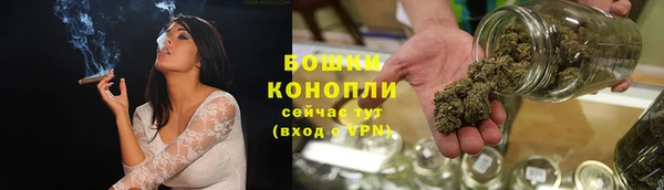 дживик Белокуриха