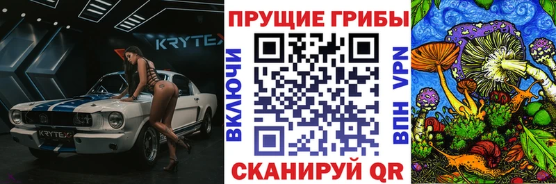 Псилоцибиновые грибы Magic Shrooms Губкинский