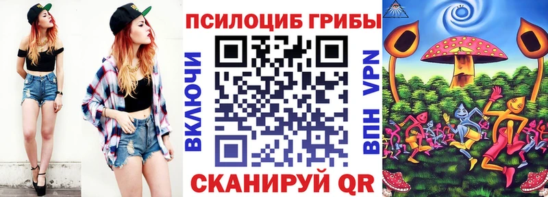 магазин    Губкинский  Галлюциногенные грибы Psilocybine cubensis 